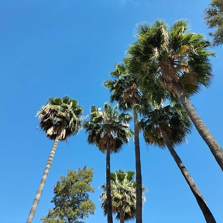 Vas Malaga Ciudad Hotell Eksteriør bilde