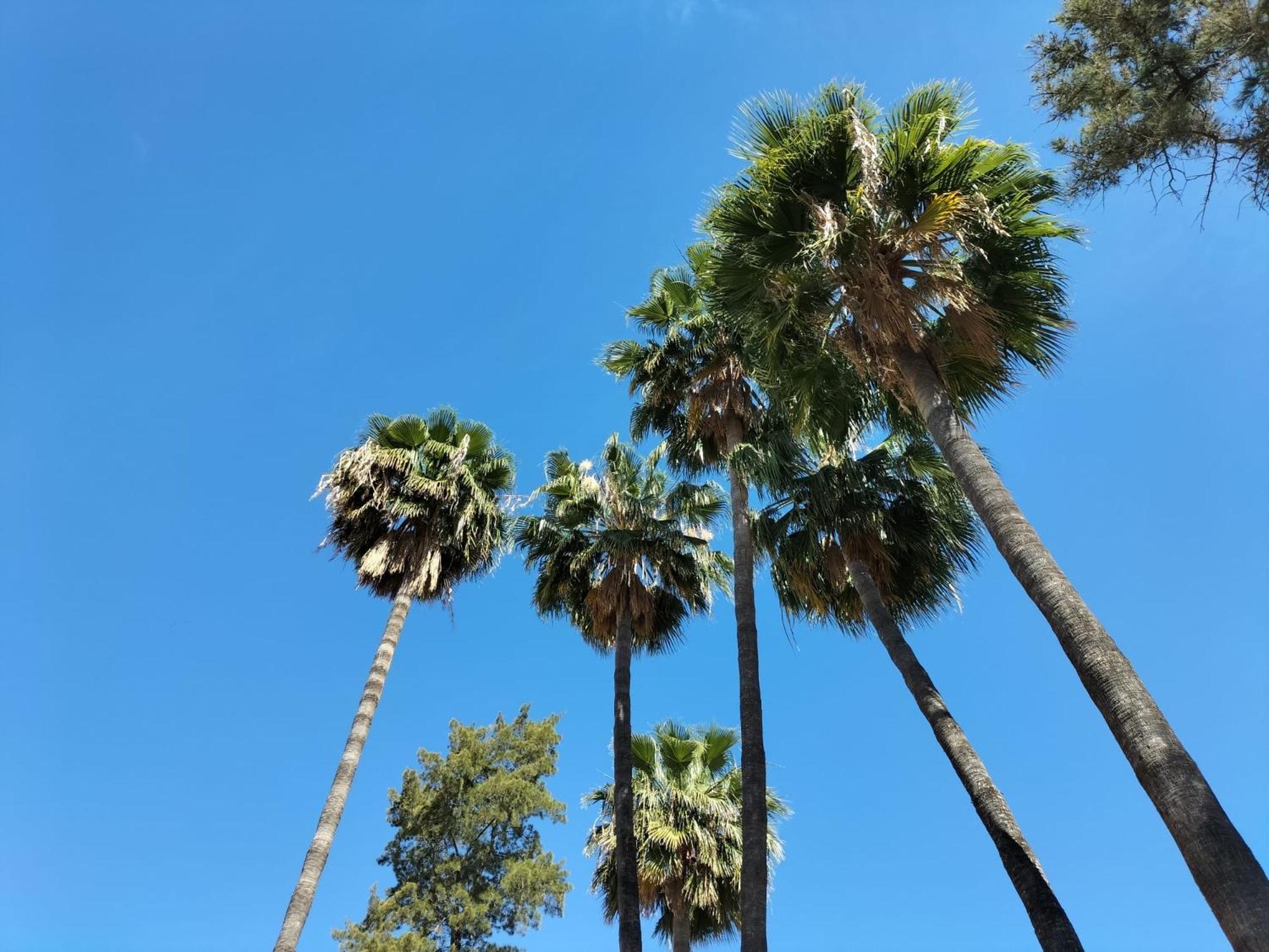 Vas Malaga Ciudad Hotell Eksteriør bilde